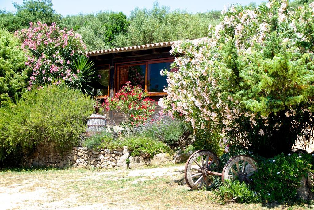 CampavaglioAgriturismo Sardo别墅 外观 照片