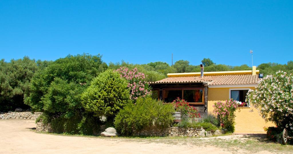 CampavaglioAgriturismo Sardo别墅 外观 照片