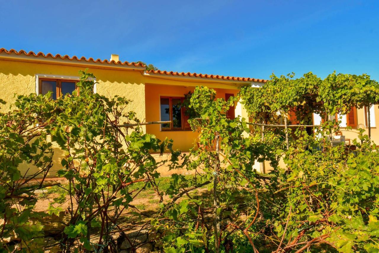 CampavaglioAgriturismo Sardo别墅 外观 照片